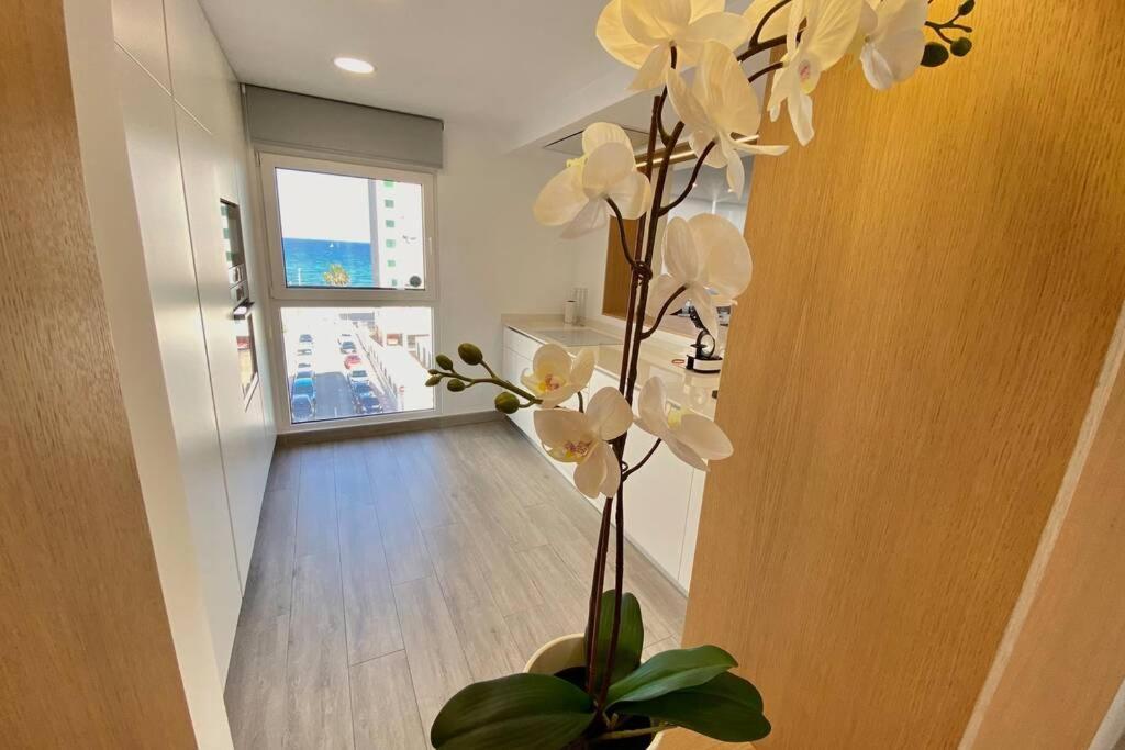 Central Modern Apartment 3 Bed 2 Bath El Campello Εξωτερικό φωτογραφία